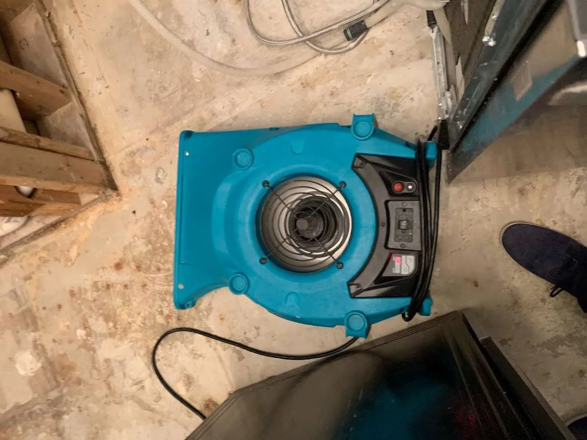 Air mover drying equipment for Mold Remediation & Removal in Hopedale